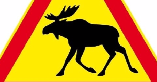 Suomen motoristit huolissaan peurakannan kasvusta