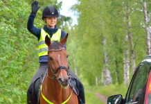 Toimi näin, kun kohtaat hevosen liikenteessä