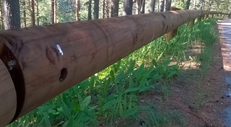 Päivän kuva: Älä anna ulkonäön hämätä!